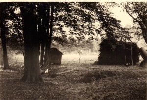 F01 Bakoven bij boerderij Zeggerdink, 1956